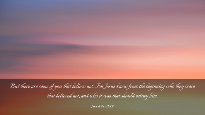 Picture 03 - John 6:64 ASV Desktop Wallpaper - But there are some of you that believe not. For - Desktop Bible Verse Wallpaper