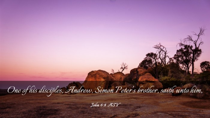 Picture 03 - John 6:8 ASV Desktop Wallpaper - One of his disciples, Andrew, Simon Peter's - Desktop Bible Verse Wallpaper