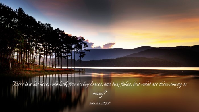 Picture 03 - John 6:9 ASV Desktop Wallpaper - There is a lad here, who hath five barley loaves, - Desktop Bible Verse Wallpaper