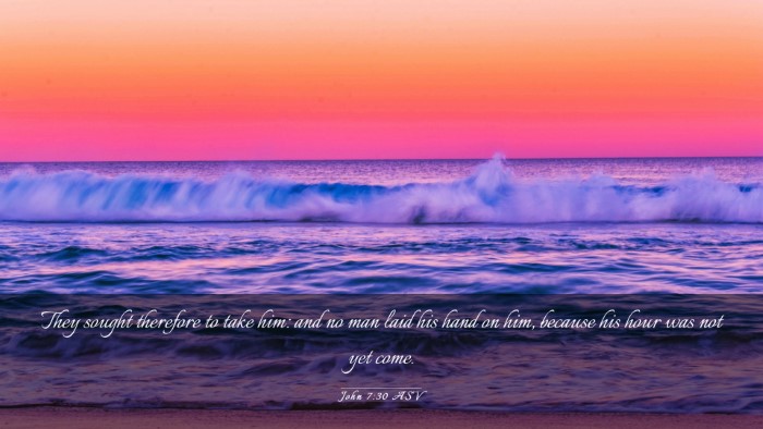 Picture 03 - John 7:30 ASV Desktop Wallpaper - They sought therefore to take him: and no man - Desktop Bible Verse Wallpaper