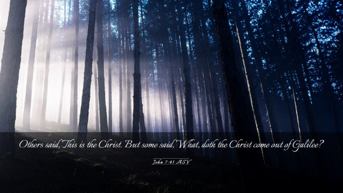 Picture 03 - John 7:41 ASV Desktop Wallpaper - Others said, This is the Christ. But some said, - Desktop Bible Verse Wallpaper