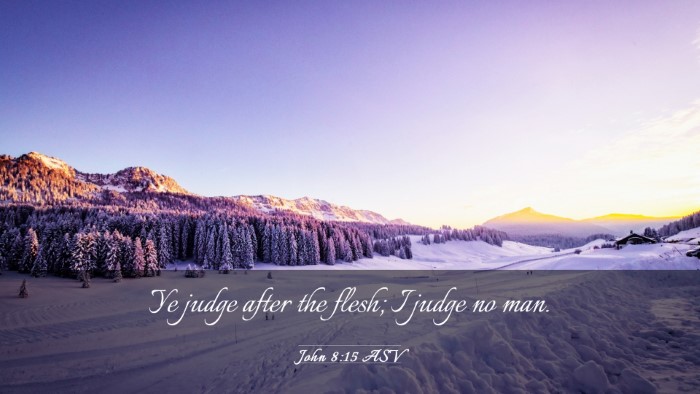 Picture 03 - John 8:15 ASV Desktop Wallpaper - Ye judge after the flesh; I judge no - Desktop Bible Verse Wallpaper