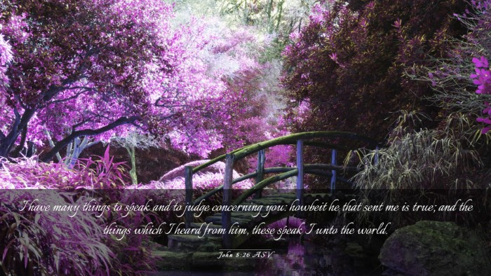 Picture 03 - John 8:26 ASV Desktop Wallpaper - I have many things to speak and to judge - Desktop Bible Verse Wallpaper
