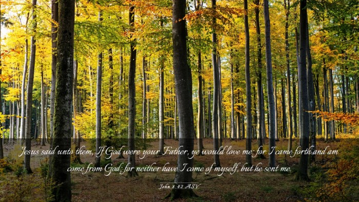 Picture 03 - John 8:42 ASV Desktop Wallpaper - Jesus said unto them, If God were your Father, ye - Desktop Bible Verse Wallpaper