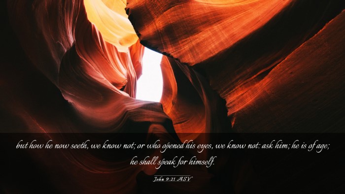 Picture 03 - John 9:21 ASV Desktop Wallpaper - but how he now seeth, we know not; or who opened - Desktop Bible Verse Wallpaper