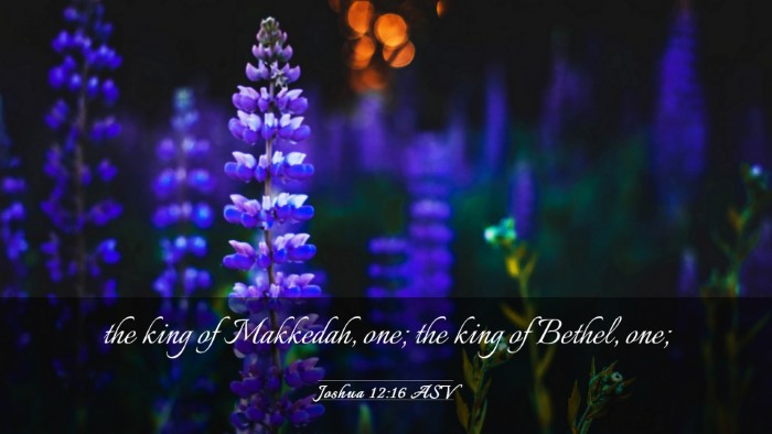Picture 03 - Joshua 12:16 ASV Desktop Wallpaper - the king of Makkedah, one; the king of Bethel, - Desktop Bible Verse Wallpaper