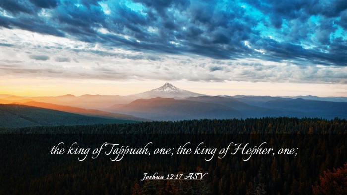 Picture 03 - Joshua 12:17 ASV Desktop Wallpaper - the king of Tappuah, one; the king of Hepher, - Desktop Bible Verse Wallpaper
