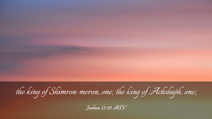 Picture 03 - Joshua 12:20 ASV Desktop Wallpaper - the king of Shimron-meron, one; the king of - Desktop Bible Verse Wallpaper