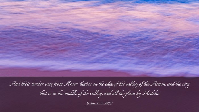 Picture 03 - Joshua 13:16 ASV Desktop Wallpaper - And their border was from Aroer, that is on the - Desktop Bible Verse Wallpaper
