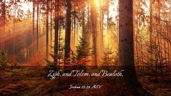 Picture 03 - Joshua 15:24 ASV Desktop Wallpaper - Ziph, and Telem, and - Desktop Bible Verse Wallpaper