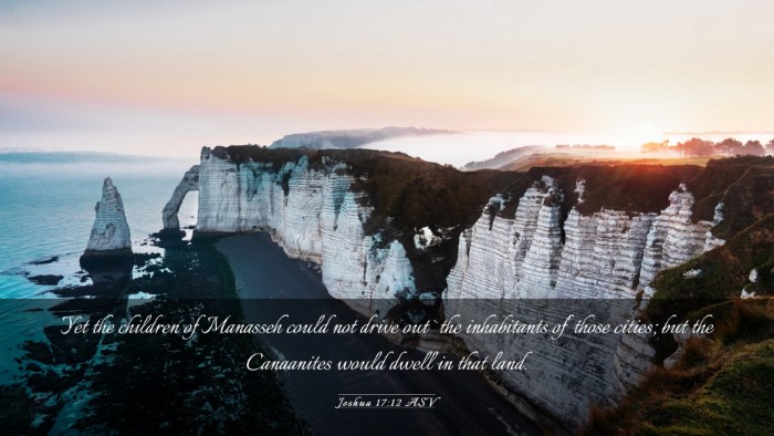 Picture 03 - Joshua 17:12 ASV Desktop Wallpaper - Yet the children of Manasseh could not drive out - Desktop Bible Verse Wallpaper