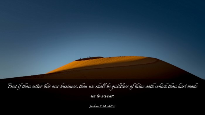 Picture 03 - Joshua 2:20 ASV Desktop Wallpaper - But if thou utter this our business, then we - Desktop Bible Verse Wallpaper