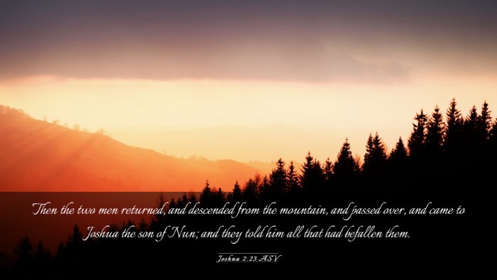 Picture 03 - Joshua 2:23 ASV Desktop Wallpaper - Then the two men returned, and descended from the - Desktop Bible Verse Wallpaper