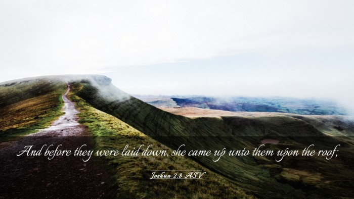 Picture 03 - Joshua 2:8 ASV Desktop Wallpaper - And before they were laid down, she came up unto - Desktop Bible Verse Wallpaper