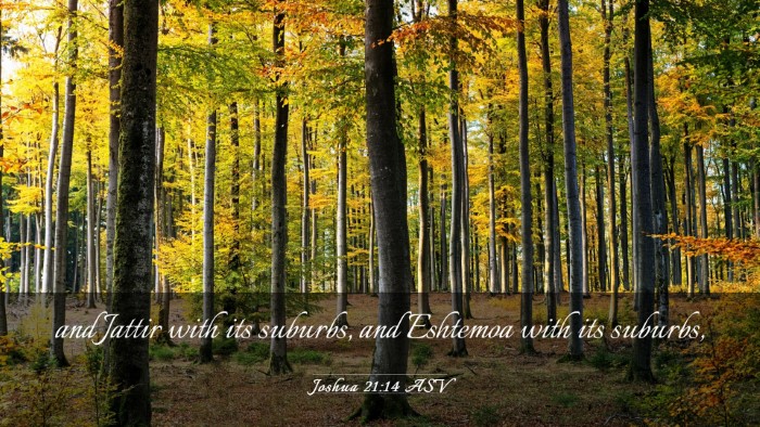 Picture 03 - Joshua 21:14 ASV Desktop Wallpaper - and Jattir with its suburbs, and Eshtemoa with - Desktop Bible Verse Wallpaper