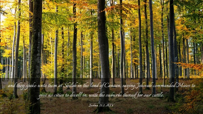 Picture 03 - Joshua 21:2 ASV Desktop Wallpaper - and they spake unto them at Shiloh in the land of - Desktop Bible Verse Wallpaper