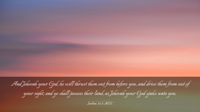 Picture 03 - Joshua 23:5 ASV Desktop Wallpaper - And Jehovah your God, he will thrust them out - Desktop Bible Verse Wallpaper