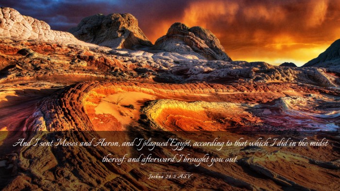 Picture 03 - Joshua 24:5 ASV Desktop Wallpaper - And I sent Moses and Aaron, and I plagued Egypt, - Desktop Bible Verse Wallpaper