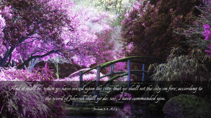 Picture 03 - Joshua 8:8 ASV Desktop Wallpaper - And it shall be, when ye have seized upon the - Desktop Bible Verse Wallpaper