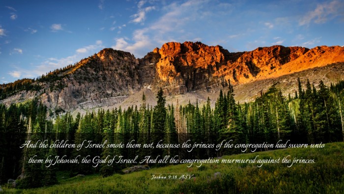 Picture 03 - Joshua 9:18 ASV Desktop Wallpaper - And the children of Israel smote them not, - Desktop Bible Verse Wallpaper