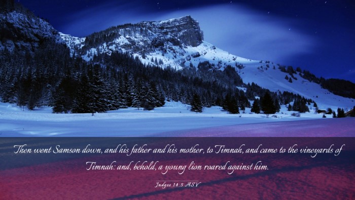 Picture 03 - Judges 14:5 ASV Desktop Wallpaper - Then went Samson down, and his father and his - Desktop Bible Verse Wallpaper