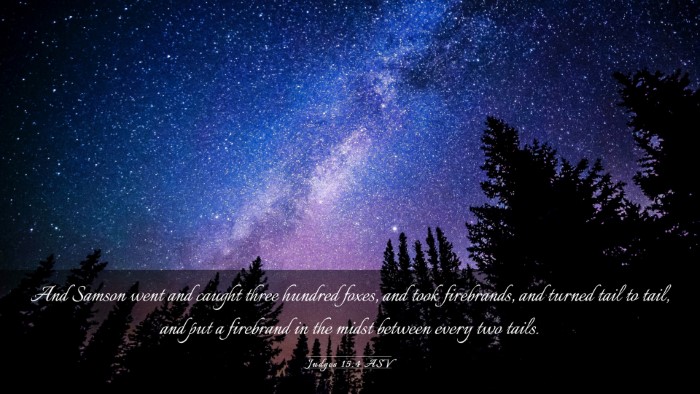 Picture 03 - Judges 15:4 ASV Desktop Wallpaper - And Samson went and caught three hundred foxes, - Desktop Bible Verse Wallpaper