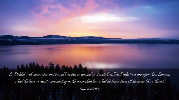 Picture 03 - Judges 16:12 ASV Desktop Wallpaper - So Delilah took new ropes, and bound him - Desktop Bible Verse Wallpaper
