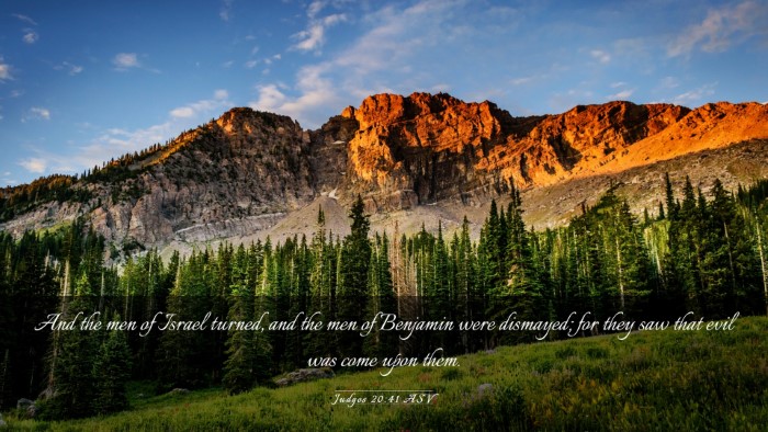 Picture 03 - Judges 20:41 ASV Desktop Wallpaper - And the men of Israel turned, and the men of - Desktop Bible Verse Wallpaper