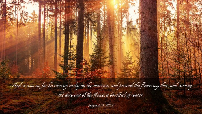 Picture 03 - Judges 6:38 ASV Desktop Wallpaper - And it was so; for he rose up early on the - Desktop Bible Verse Wallpaper