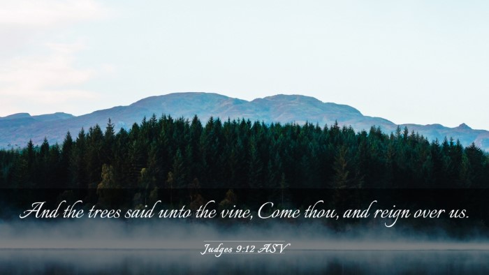 Picture 03 - Judges 9:12 ASV Desktop Wallpaper - And the trees said unto the vine, Come thou, and - Desktop Bible Verse Wallpaper