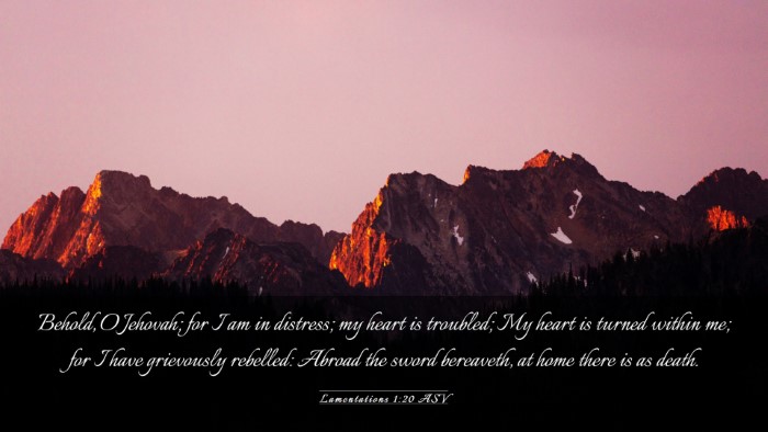 Picture 03 - Lamentations 1:20 ASV Desktop Wallpaper - Behold, O Jehovah; for I am in distress; my heart - Desktop Bible Verse Wallpaper