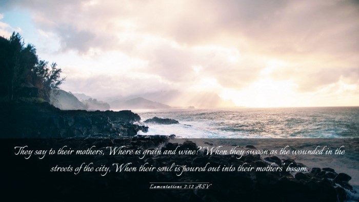Picture 03 - Lamentations 2:12 ASV Desktop Wallpaper - They say to their mothers, Where is grain and - Desktop Bible Verse Wallpaper