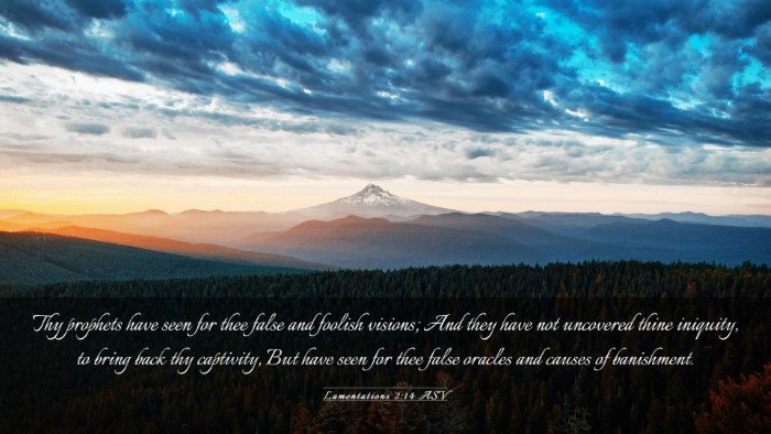 Picture 03 - Lamentations 2:14 ASV Desktop Wallpaper - Thy prophets have seen for thee false and foolish - Desktop Bible Verse Wallpaper