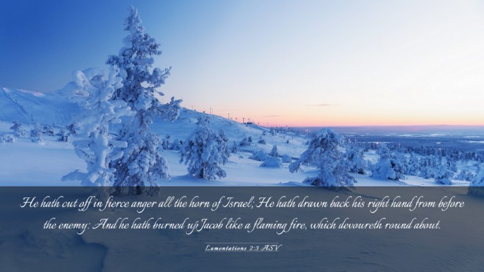 Picture 03 - Lamentations 2:3 ASV Desktop Wallpaper - He hath cut off in fierce anger all the horn of - Desktop Bible Verse Wallpaper