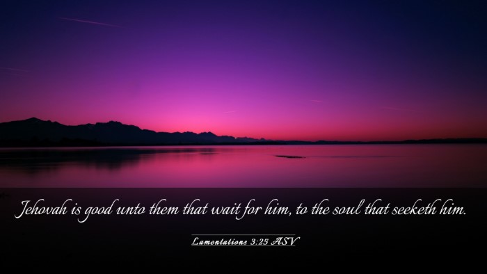 Picture 03 - Lamentations 3:25 ASV Desktop Wallpaper - Jehovah is good unto them that wait for him, to - Desktop Bible Verse Wallpaper