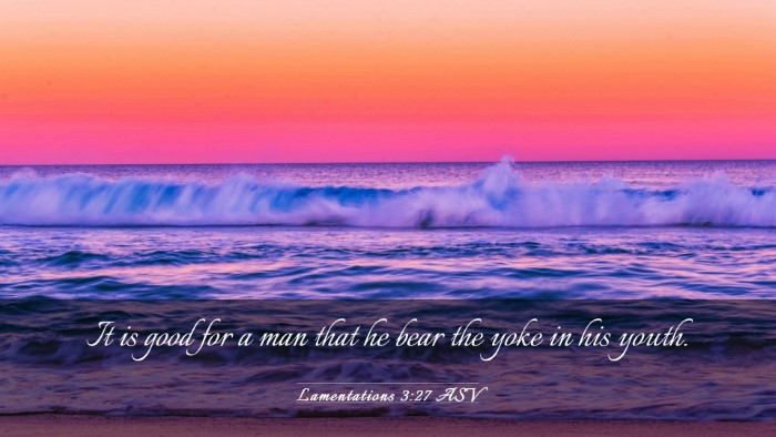 Picture 03 - Lamentations 3:27 ASV Desktop Wallpaper - It is good for a man that he bear the yoke in his - Desktop Bible Verse Wallpaper