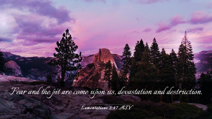 Picture 03 - Lamentations 3:47 ASV Desktop Wallpaper - Fear and the pit are come upon us, devastation - Desktop Bible Verse Wallpaper
