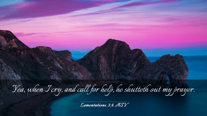 Picture 03 - Lamentations 3:8 ASV Desktop Wallpaper - Yea, when I cry, and call for help, he shutteth - Desktop Bible Verse Wallpaper