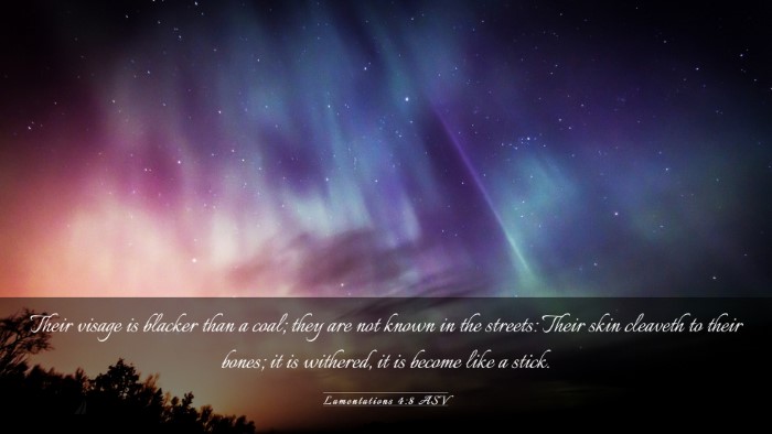 Picture 03 - Lamentations 4:8 ASV Desktop Wallpaper - Their visage is blacker than a coal; they are not - Desktop Bible Verse Wallpaper