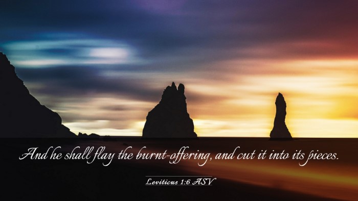 Picture 03 - Leviticus 1:6 ASV Desktop Wallpaper - And he shall flay the burnt-offering, and cut it - Desktop Bible Verse Wallpaper