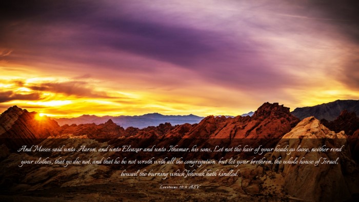 Picture 03 - Leviticus 10:6 ASV Desktop Wallpaper - And Moses said unto Aaron, and unto Eleazar and - Desktop Bible Verse Wallpaper