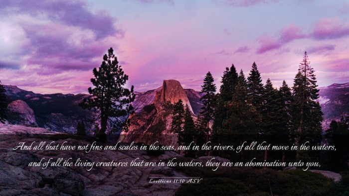 Picture 03 - Leviticus 11:10 ASV Desktop Wallpaper - And all that have not fins and scales in the - Desktop Bible Verse Wallpaper