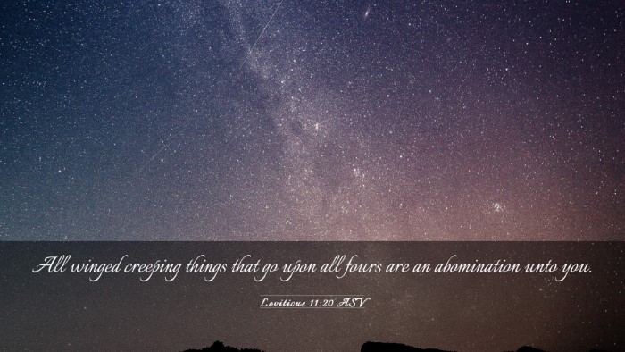 Picture 03 - Leviticus 11:20 ASV Desktop Wallpaper - All winged creeping things that go upon all fours - Desktop Bible Verse Wallpaper