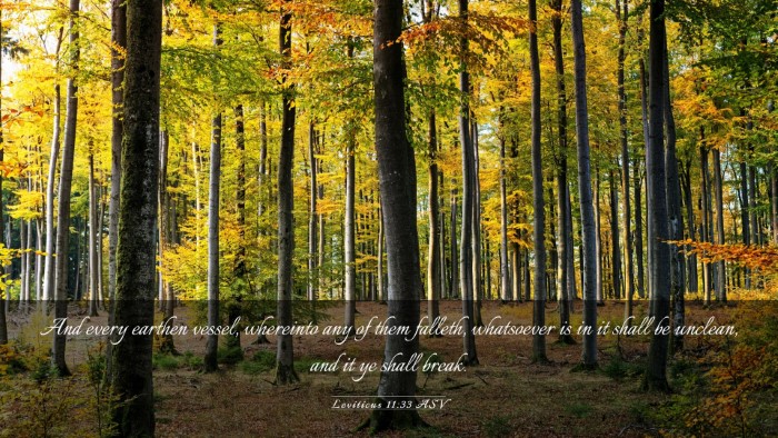Picture 03 - Leviticus 11:33 ASV Desktop Wallpaper - And every earthen vessel, whereinto any of them - Desktop Bible Verse Wallpaper