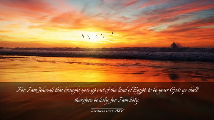 Picture 03 - Leviticus 11:45 ASV Desktop Wallpaper - For I am Jehovah that brought you up out of the - Desktop Bible Verse Wallpaper