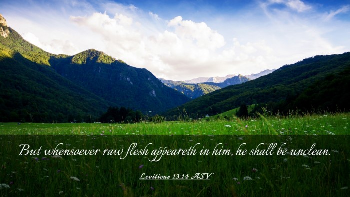 Picture 03 - Leviticus 13:14 ASV Desktop Wallpaper - But whensoever raw flesh appeareth in him, he - Desktop Bible Verse Wallpaper