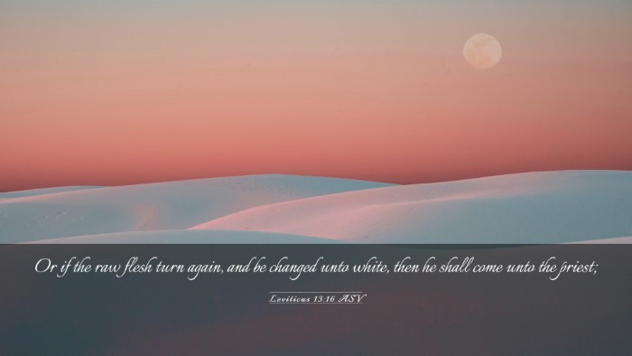 Picture 03 - Leviticus 13:16 ASV Desktop Wallpaper - Or if the raw flesh turn again, and be changed - Desktop Bible Verse Wallpaper