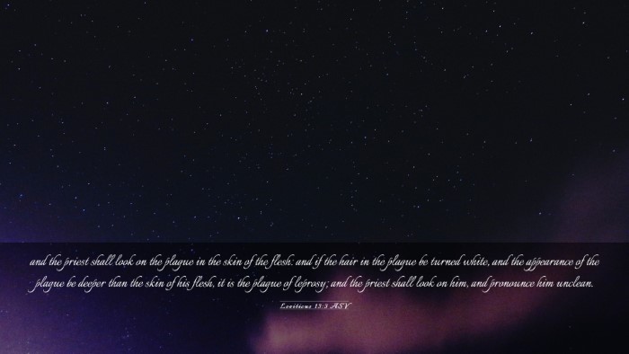Picture 03 - Leviticus 13:3 ASV Desktop Wallpaper - and the priest shall look on the plague in the - Desktop Bible Verse Wallpaper
