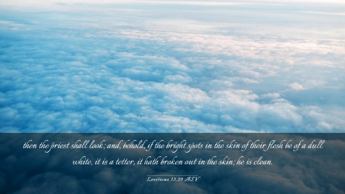Picture 03 - Leviticus 13:39 ASV Desktop Wallpaper - then the priest shall look; and, behold, if the - Desktop Bible Verse Wallpaper