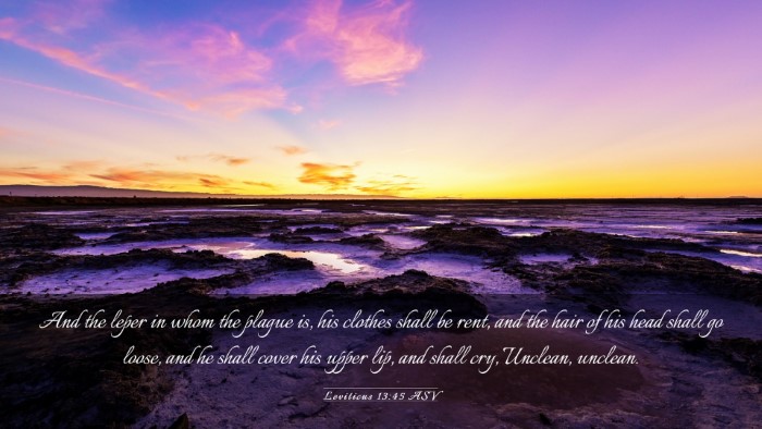 Picture 03 - Leviticus 13:45 ASV Desktop Wallpaper - And the leper in whom the plague is, his clothes - Desktop Bible Verse Wallpaper